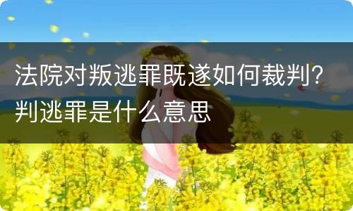 法院对叛逃罪既遂如何裁判? 判逃罪是什么意思