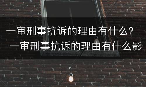 一审刑事抗诉的理由有什么？ 一审刑事抗诉的理由有什么影响