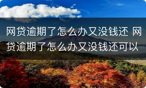 网贷逾期了怎么办又没钱还 网贷逾期了怎么办又没钱还可以只还本金不还利息么