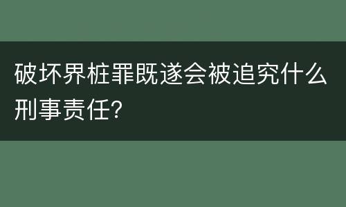 破坏界桩罪既遂会被追究什么刑事责任？