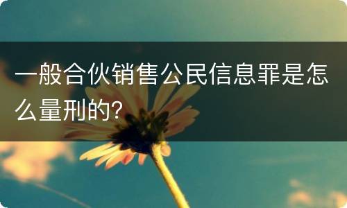一般合伙销售公民信息罪是怎么量刑的？