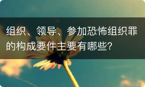 组织、领导、参加恐怖组织罪的构成要件主要有哪些？