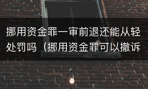 挪用资金罪一审前退还能从轻处罚吗（挪用资金罪可以撤诉吗）