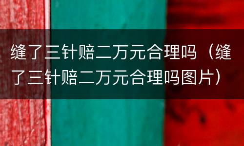 缝了三针赔二万元合理吗（缝了三针赔二万元合理吗图片）
