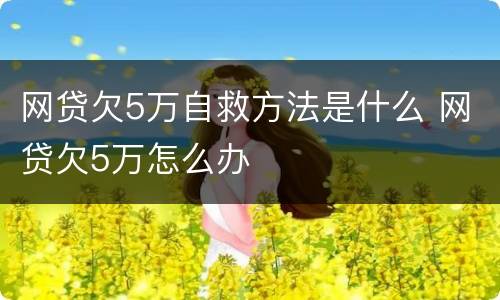 网贷欠5万自救方法是什么 网贷欠5万怎么办