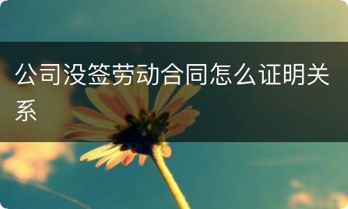 公司没签劳动合同怎么证明关系