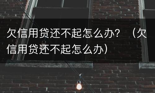 欠信用贷还不起怎么办？（欠信用贷还不起怎么办）