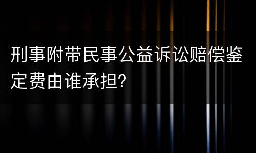 刑事附带民事公益诉讼赔偿鉴定费由谁承担？