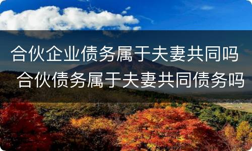 合伙企业债务属于夫妻共同吗 合伙债务属于夫妻共同债务吗