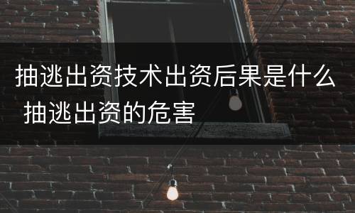 抽逃出资技术出资后果是什么 抽逃出资的危害