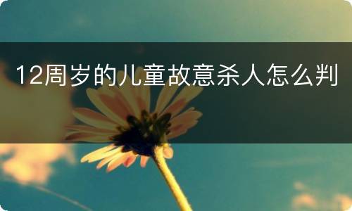 12周岁的儿童故意杀人怎么判