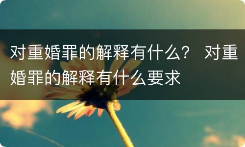 对重婚罪的解释有什么？ 对重婚罪的解释有什么要求
