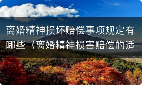 离婚精神损坏赔偿事项规定有哪些（离婚精神损害赔偿的适用范围）