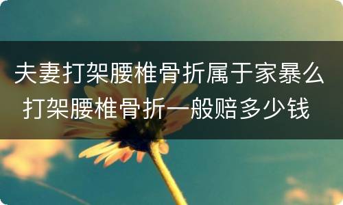 夫妻打架腰椎骨折属于家暴么 打架腰椎骨折一般赔多少钱