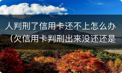 人判刑了信用卡还不上怎么办（欠信用卡判刑出来没还还是要判刑吗）