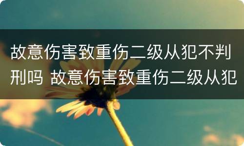故意伤害致重伤二级从犯不判刑吗 故意伤害致重伤二级从犯不判刑吗判几年