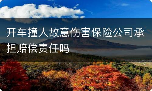 开车撞人故意伤害保险公司承担赔偿责任吗