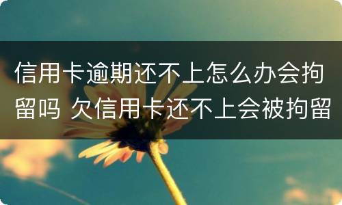 信用卡逾期还不上怎么办会拘留吗 欠信用卡还不上会被拘留吗
