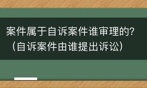 案件属于自诉案件谁审理的？（自诉案件由谁提出诉讼）