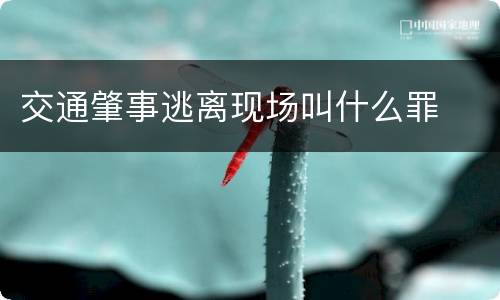 交通肇事逃离现场叫什么罪