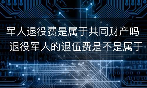 军人退役费是属于共同财产吗 退役军人的退伍费是不是属于个人财产