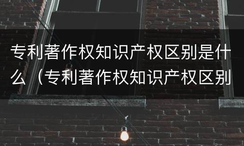 专利著作权知识产权区别是什么（专利著作权知识产权区别是什么意思）