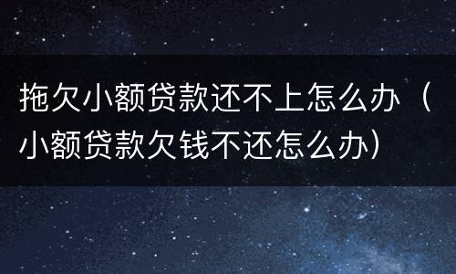 拖欠小额贷款还不上怎么办（小额贷款欠钱不还怎么办）