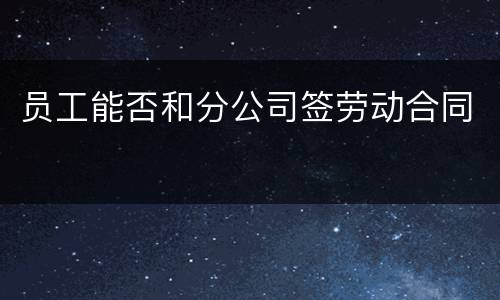 员工能否和分公司签劳动合同
