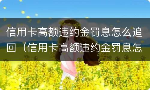 信用卡高额违约金罚息怎么追回（信用卡高额违约金罚息怎么追回的）