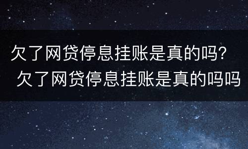 欠了网贷停息挂账是真的吗？ 欠了网贷停息挂账是真的吗吗