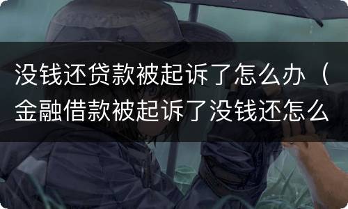 没钱还贷款被起诉了怎么办（金融借款被起诉了没钱还怎么办）
