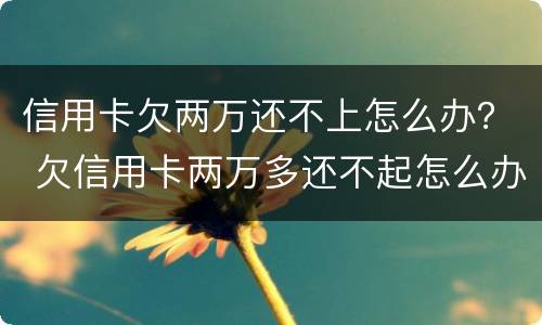 信用卡欠两万还不上怎么办？ 欠信用卡两万多还不起怎么办