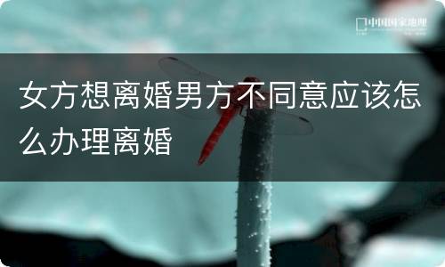 女方想离婚男方不同意应该怎么办理离婚