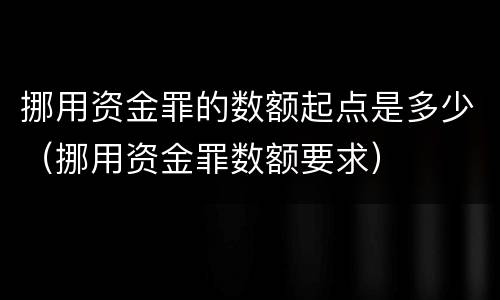 挪用资金罪的数额起点是多少（挪用资金罪数额要求）