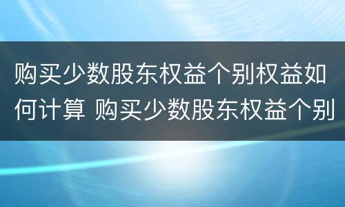 购买少数股东权益个别权益如何计算 购买少数股东权益个别权益如何计算