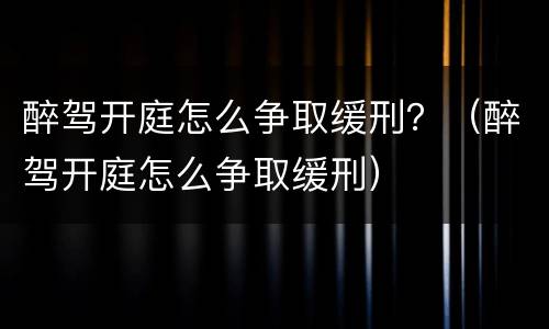 醉驾开庭怎么争取缓刑？（醉驾开庭怎么争取缓刑）