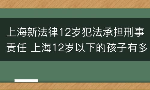 上海新法律12岁犯法承担刑事责任 上海12岁以下的孩子有多少