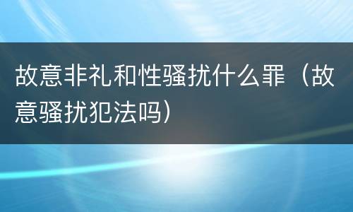 故意非礼和性骚扰什么罪（故意骚扰犯法吗）