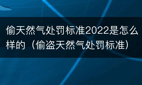 偷天然气处罚标准2022是怎么样的（偷盗天然气处罚标准）