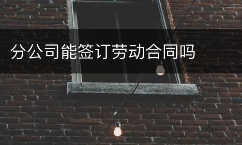 分公司能签订劳动合同吗