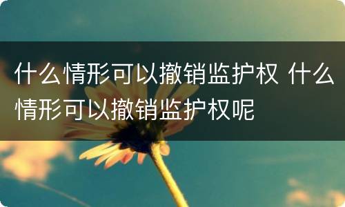 什么情形可以撤销监护权 什么情形可以撤销监护权呢