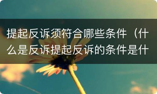 提起反诉须符合哪些条件（什么是反诉提起反诉的条件是什么）