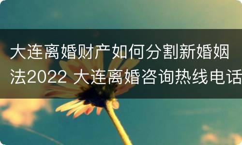 大连离婚财产如何分割新婚姻法2022 大连离婚咨询热线电话
