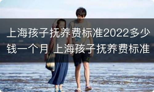 上海孩子抚养费标准2022多少钱一个月 上海孩子抚养费标准2022多少钱一个月呢