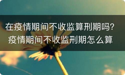 在疫情期间不收监算刑期吗？ 疫情期间不收监刑期怎么算