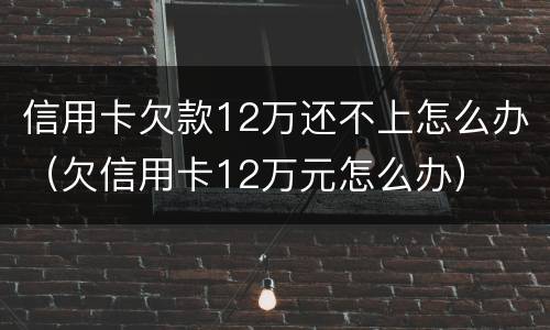 信用卡欠款12万还不上怎么办（欠信用卡12万元怎么办）