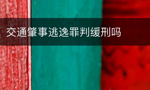 交通肇事逃逸罪判缓刑吗