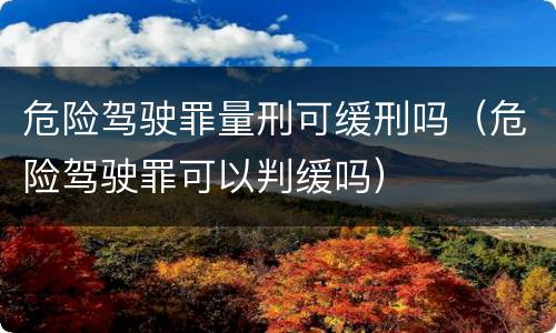 危险驾驶罪量刑可缓刑吗（危险驾驶罪可以判缓吗）