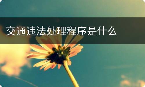 交通违法处理程序是什么