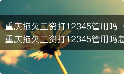 重庆拖欠工资打12345管用吗（重庆拖欠工资打12345管用吗怎么投诉）